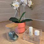 Du Parc 아파트 생 마르탱 듀리아쥬